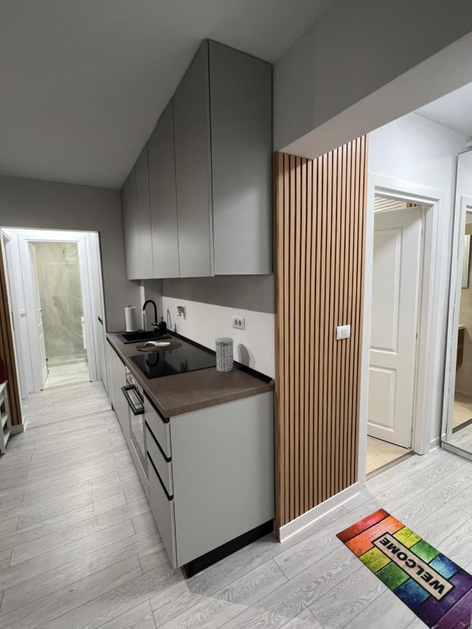 Oxana Apartments - 3 Camere - Timișoara Zewnętrze zdjęcie