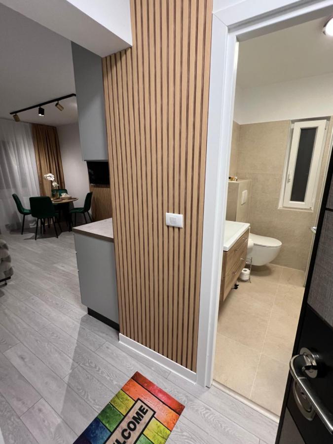 Oxana Apartments - 3 Camere - Timișoara Zewnętrze zdjęcie