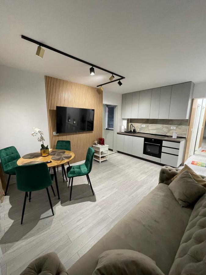 Oxana Apartments - 3 Camere - Timișoara Zewnętrze zdjęcie