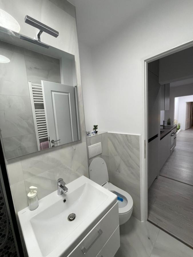 Oxana Apartments - 3 Camere - Timișoara Zewnętrze zdjęcie