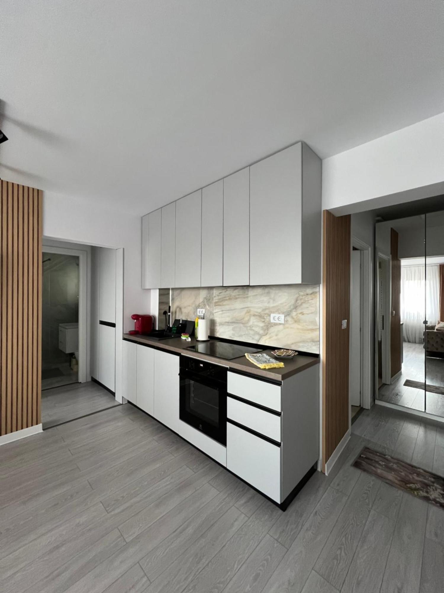 Oxana Apartments - 3 Camere - Timișoara Zewnętrze zdjęcie