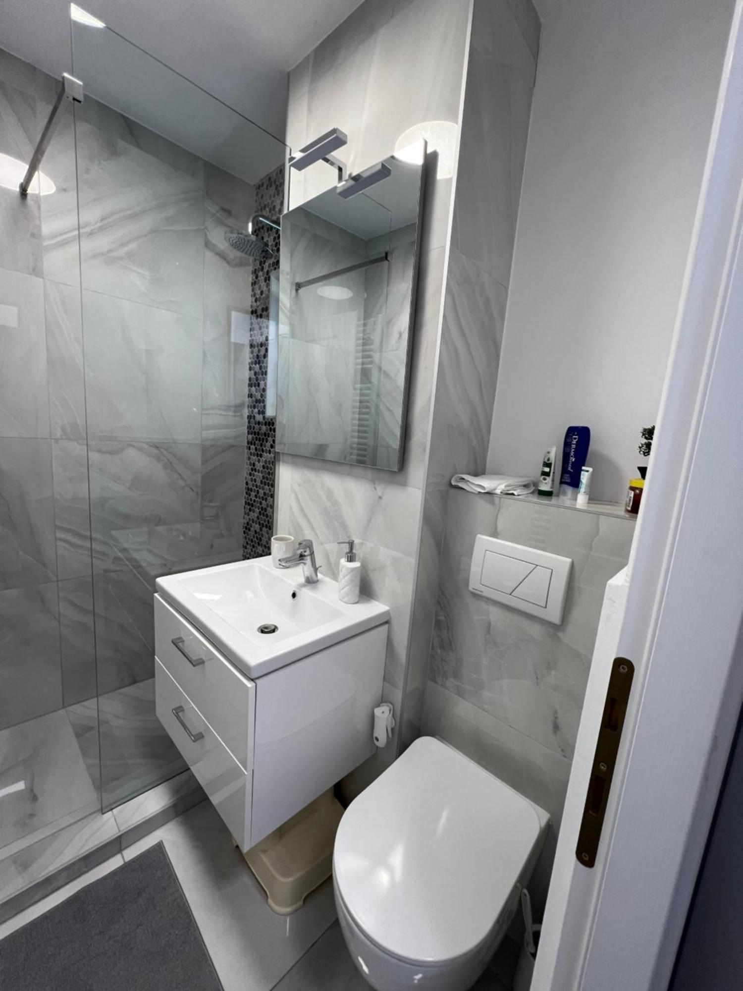Oxana Apartments - 3 Camere - Timișoara Zewnętrze zdjęcie